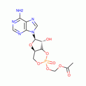 ADENOSINE-3',5'-CYLIC MONOPHOSPHATE,*ACETOXYMETHYL