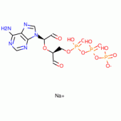 ADENOSINE 5-TRIPHOSPHATE, PERIODATEOXIDI ZED SODIUM
