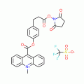 Acridinium C2 NHS Ester