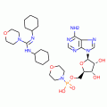 ADENOSINE 5'-MONOPHOSPHOMORPHOLIDATE