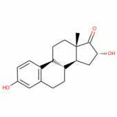 16α-Hydroxy Estrone