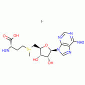 S-ADENOSYL-L-METHIONINE IODIDE