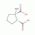 trans-ACPD