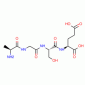 ALA-GLY-SER-GLU