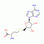 S-腺苷-L-高半胱氨酸