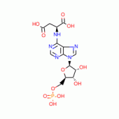 ADENYLOSUCCINIC ACID FREE ACID
