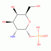A-D-GALACTOSAMINE 1-PHOSPHATE