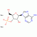 ADENOSINE 3-MONOPHOSPHATE SODIUMFROM YEA ST
