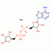 ADENOSINE 5'-DIPHOSPHORIBOSE SODIUM