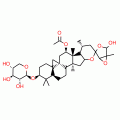 ACTEIN(P)