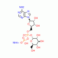 A DENOSINE 5'-DIPHOSPHO-(D-GLUCOSE-UL-14 C) AMMONIU