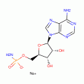 ADENOSINE 5'-MONOPHOSPHORAMIDATE SODIUM