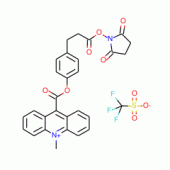 Acridinium C2 NHS Ester