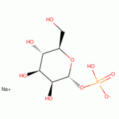 A-D(+)MANNOSE 1-PHOSPHATE SODIUM SIGMA*G RADE