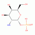A-D-GALACTOSAMINE 1-PHOSPHATE