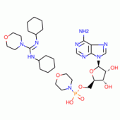 ADENOSINE 5'-MONOPHOSPHOMORPHOLIDATE