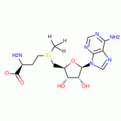 S-ADENOSYL-L-METHIONINE-METHYL-3H