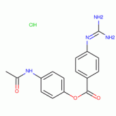 4'-ACETAMIDOPHENYL 4-GUANIDINOBENZOATEHY DROCHLORID