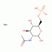 n-乙酰-d-葡糖胺-6-磷酸钠盐