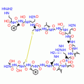 ATRIOPEPTIN II RAT