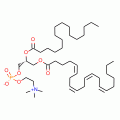 L-A-PHOSPHATIDYLCHOLINE, B-*ARACHIDONOYL -GAMMA-PALM