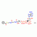 BENZOYL COENZYME A LITHIUM