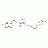 6-N-Biotinylaminohexyl Isopropyl Phosphorofluoridate, Hemihydrate