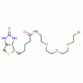 1-Biotinylamino-3,6,9-trioxaundecane-11-bromide