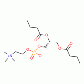 L-A-PHOSPHATIDYLCHOLINE, DIBUTYRYL