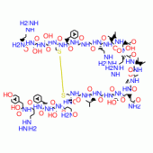 ATRIAL NATRIURETIC PEPTIDEFRAGMENT 4-28 RAT