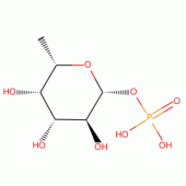 B-L-FUCOSE 1-PHOSPHATE DI(CYCLOHEXYL-*AM MONIUM)