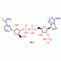A-NICOTINAMIDE ADENINE DINUCLEOTIDE*PHOS PHATE REDUC