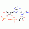 A-NICOTINAMIDE ADENINE DINUCLEOTIDE*CELL  CULTURE TE