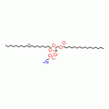 L-A-PHOSPHATIDYLCHOLINE, B-OLEOYL-*GAMMA -PALMITOYL