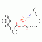 L-A-PHOSPHATIDYLCHOLINE, B-*(PYREN-1-YL) DECANOYL-