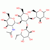 A-TETRASACCHARIDE FROM HUMAN URINE