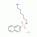 N-(6-Aminohexyl)-2-naphthalenesulfonamide Hydrochloride