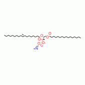 L-A-PHOSPHATIDYLCHOLINE, B-OLEOYL-*GAMMA -PALMITOYL