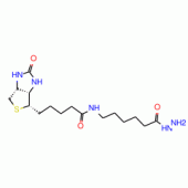 Biotinamidocaproyl hydrazine