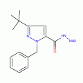 1-Benzyl-3-(tert-butyl)-1H-pyrazole-5-carbohydrazide, 97%