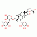 ASTRASIEVERSIANIN15(RG)