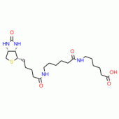 N-Biotinylcaproylaminocaproic Acid