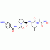 P-AMINOBENZOYL-GLY-PRO-D-LEU-D-ALAHYDROX AMIC ACID