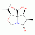 (3R,4S,5S,6S)-1-Aza-5-carboxyl-4-hydroxy-6-isopropyl-3-methyl-7-oxabicyclo[3.3.0]octan-2-one