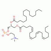 L-A-PHOSPHATIDYLCHOLINE, B-*ARACHIDONOYL -GAMMA-PALM
