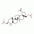 BETULINDIACETATE(RG)
