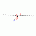 D-A-PHOSPHATIDYLCHOLINE, DIPALMITOYL