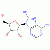 8-Amino Adenosine