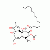 4-A-PHORBOL 12-MYRISTATE-13-ACETATE NEGA TIVE CONTROL