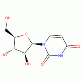 1-β-D-Arabinofuranosyluracil